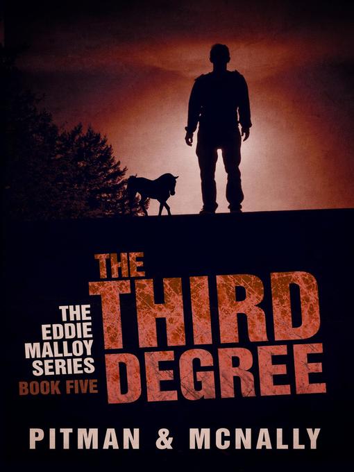 Title details for The Third Degree by joe mcnally - Available